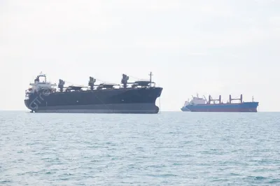 В порты Украины прибыли первые грузовые суда для загрузки зерном и другой  аграрной продукции | Українські Новини