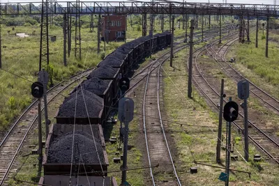 В Приморье столкнулись лесовоз и грузовой поезд :: Новости :: ТВ Центр