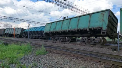 В Башкирии лоси угодили под грузовые поезда