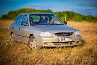 Hyundai Accent (3G) Осенние фото | DRIVER.TOP - Українська спільнота водіїв  та автомобілів.