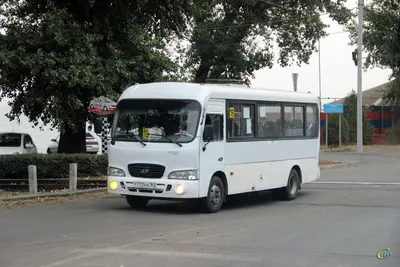 Школьный автобус Hyundai County - Фото - Москва - Таганрогский транспорт