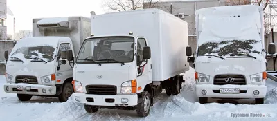 Купить б/у Hyundai HD35 дизель механика в Москве: белый изотермический  кузов 2019 года на Авто.ру ID 1120590762