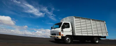2019 (unverified) Hyundai HD65 4x2 Flatbed Truck in Jebel Ali Free Zone,  UAE (IronPlanet Europe Item #8496707)