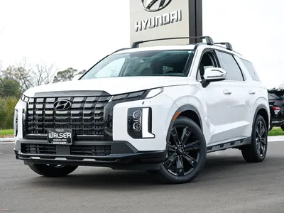 Unique features in the 2020 Hyundai Palisade | Bismarck Motor Company
