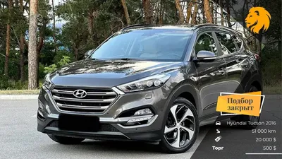 Тест-драйв нового Hyundai Tucson: ругать не за что, а пожурить — если  только чуть-чуть