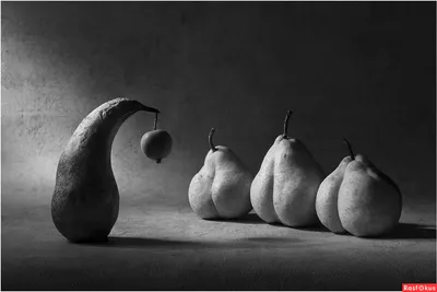 Яблочко раздора – волшебное фото для вдохновения