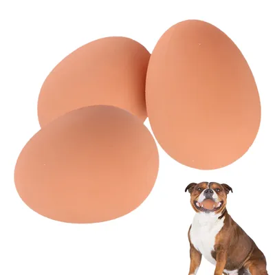Можно ли собаке давать яйца: в каком виде можно давать яйца собаке читать  на Exomania
