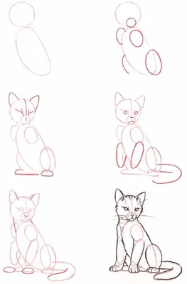 Малюємо Котика. Як намалювати Кота в коробці. Новорічні малюнки. Навчальне  відео для дітей Киця - YouTube