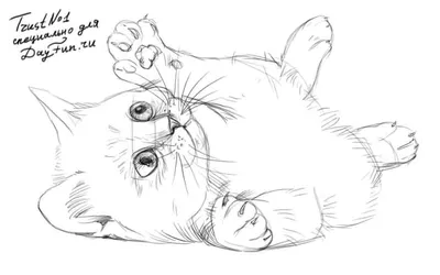 Online coloring pages Coloring Поэтапно рисуем кота как нарисовать поэтапно  животных, Coloring pages for kids.