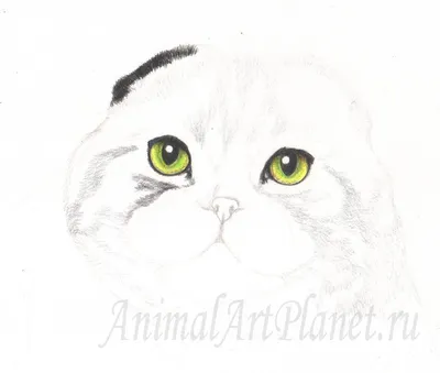 Як намалювати кота акварелями #pugachpainting : u/Nice_Astronomer9794