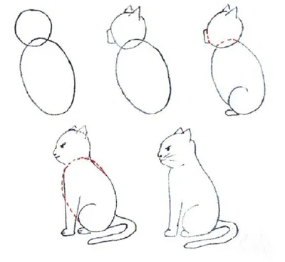 How to draw a cat, we draw a cute cat - YouTube