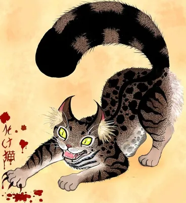 Японская коротколапая кошка - 68 фото