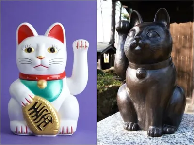 День кошки в Японии. | OUTLOOK