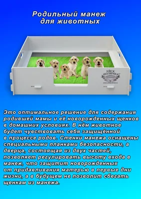 Новорожденные щенки — советы по уходу и кормлению — ProPlan.ru