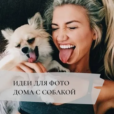 фотограф | Анастасия | Москва в Instagram: «Идеи для фото с собакой дома🌿  ⠀ в такое непростое для всех время они как настоящ… | Идеи для фото, Фото  собак, Фотограф
