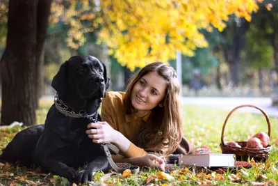 Фотосессия с собакой, идеи для фотосессии | Фотосессия, Осенние фотографии,  Животные