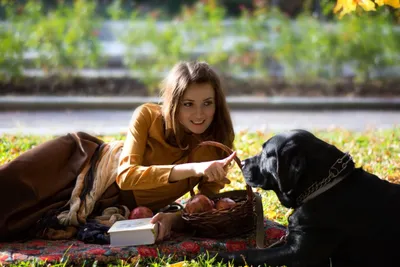 Фотосессия с собакой | Девушка с собакой | Фотоуслуги | Идеи, позы для  фотосессии
