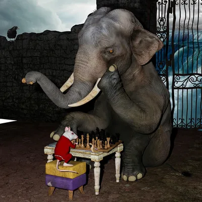 В Киевском зоопарке приобрели новые игрушки для слона | Комментарии.Киев