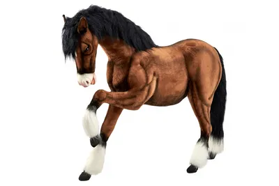 Камаргу или Камаргская лошадь 11 см — фигурка-игрушка лошади Papo 51543 —  купить в интернет-магазине Новая Фантазия
