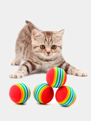 Деревянная игрушка для кошек Dolodom \"Коробочка\" - купить с доставкой по  выгодным ценам в интернет-магазине OZON (205119550)