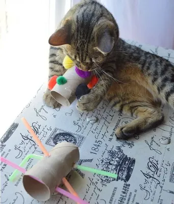 Как сделать когтеточку для кошек своими руками: пошаговая инструкция с фото