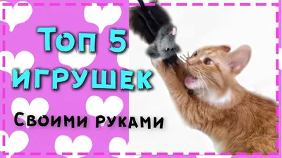 игрушки для кошек своими руками - YouTube
