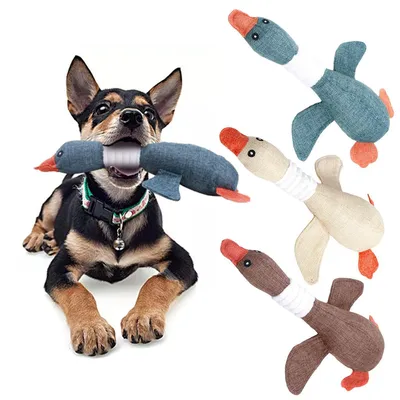 Лучшие игрушки для собак: ТОП-5 основных видов — как выбрать игрушки,  которые нужны собаке
