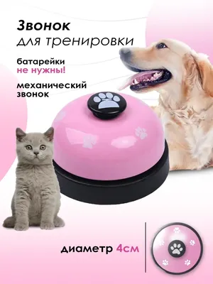 Petstages игрушка Mini ОРКА \"Косточка\" для собак – Игрушки для собак