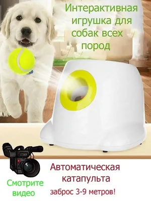 Игрушка для собак мелких пород с веревкой и 2 узлами Triol - купить с  доставкой в Ростове-на-Дону - STORUM