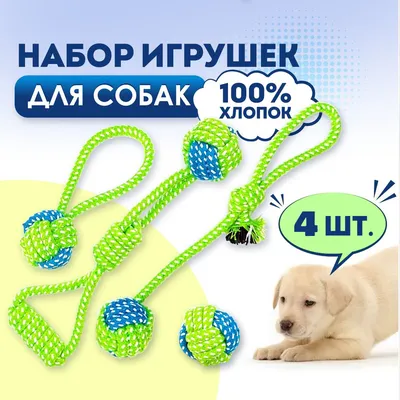 Игрушка для собак Пижон 01297866: купить за 490 руб в интернет магазине с  бесплатной доставкой