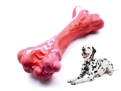 Набор игрушек для собак Big Jungle 13310573 купить за 663 ₽ в  интернет-магазине Wildberries