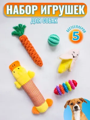 Электрическая игрушка-мяч для собак | AliExpress