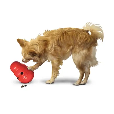 Fancy Pets игрушка \"Кольцо\" для собак – Игрушки для собак