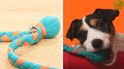 Игрушки для собак своими руками фото фотографии