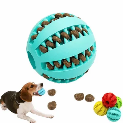 Игрушки для собак своими руками: делаем простые и недорогие игрушки для  питомцев в домашних условиях