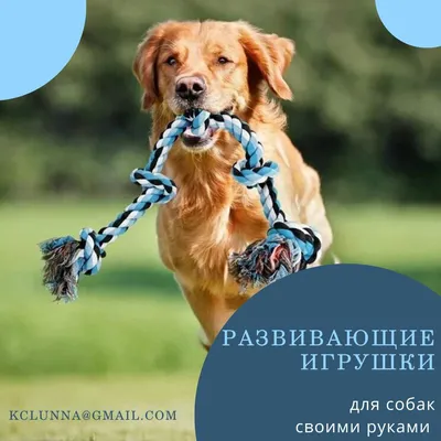 Собачки своими руками | 5 поделок к НГна Подарки.ру