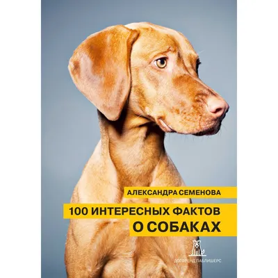 Характер и личность собаки зависят от этих факторов - новое исследование  биологов | РБК Украина