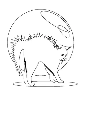 Испуганный кот (home edition) | Пикабу