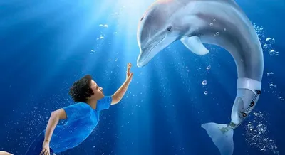 История дельфина (2011) — Фильм.ру