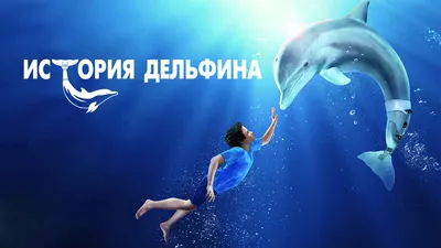 История дельфина - 2 – Filme bei Google Play