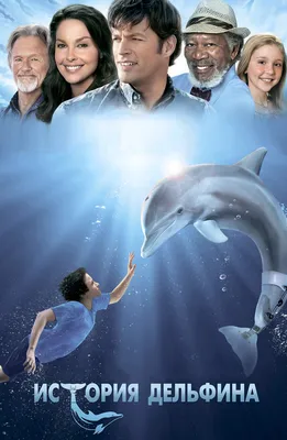Фильм История дельфина (2011) описание, содержание, трейлеры и многое  другое о фильме