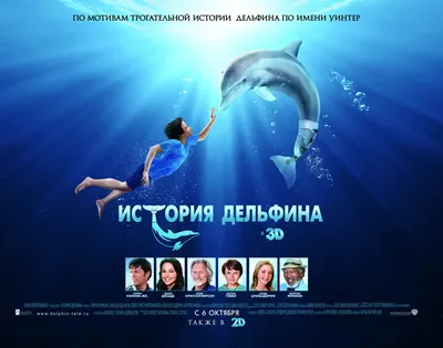 История дельфина / Dolphin Tale (США, 2011) — Фильмы — Вебург