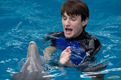 Фото: История дельфина (A Dolphin's Tale) | Фото 16
