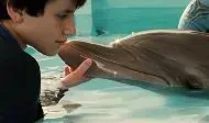 История дельфина 2, 2014 — описание, интересные факты — Кинопоиск