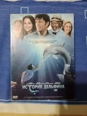 Ждал помощи от человека: трогательная история умирающего дельфина, которого  спасли волонтеры в Крыму - KP.RU