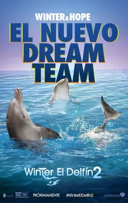 Блокнот А5 фильм История дельфина - купить с доставкой по выгодным ценам в  интернет-магазине OZON (1199874423)