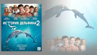 Постеры: История дельфина / Постер фильма «История дельфина» (2011) #1695174