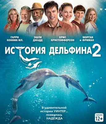 Постеры - История дельфина