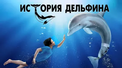 Актеры фильма История дельфина-2 (США, 2014) – Афиша-Кино
