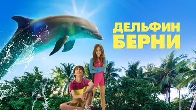 История дельфина 2 (Blu-ray) (Dolphin Tale 2) – Bluraymania